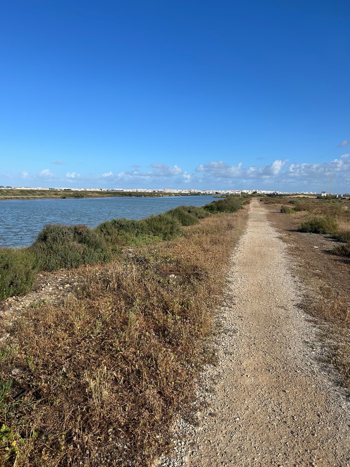 Dirt road through marshland