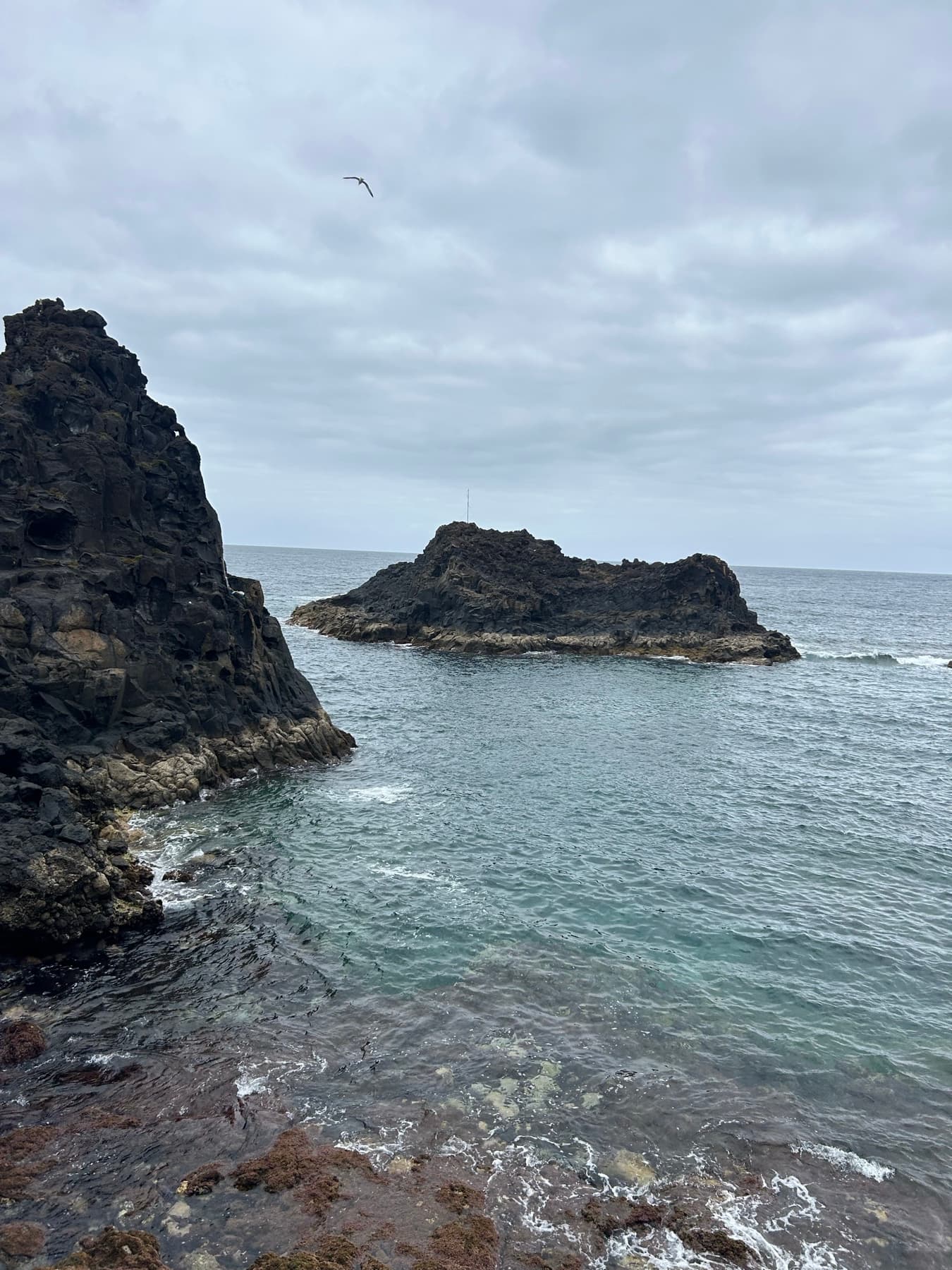 Black rock coast with houses in the background