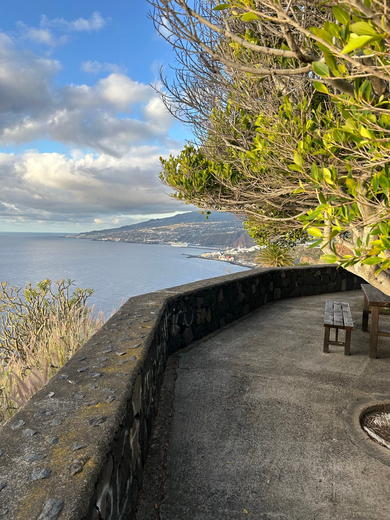 Bench at a viewpoint over the Canary coast