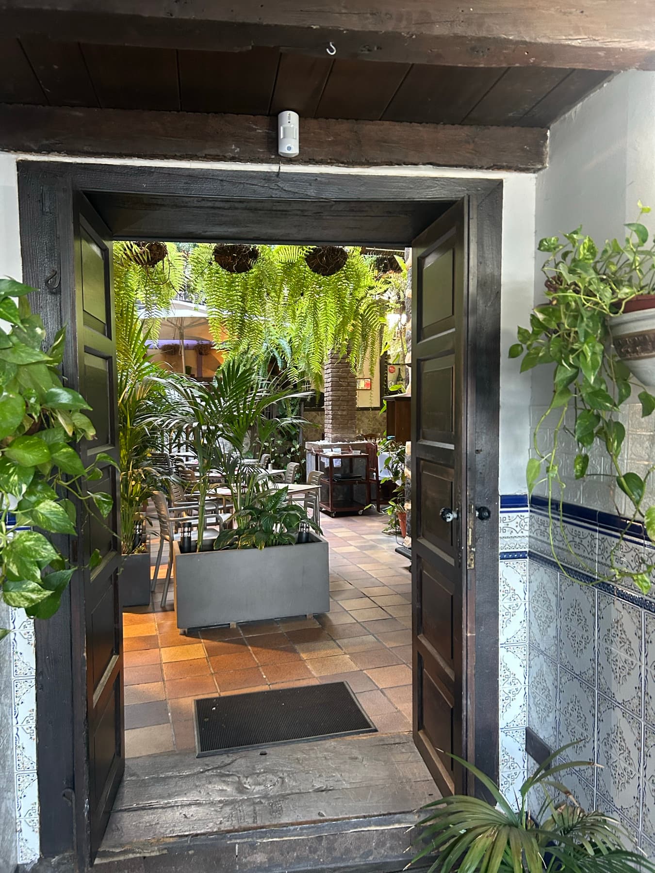 Interior patio full of plants